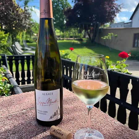 Sipp Mack Vins D'alsace * Hunawihr