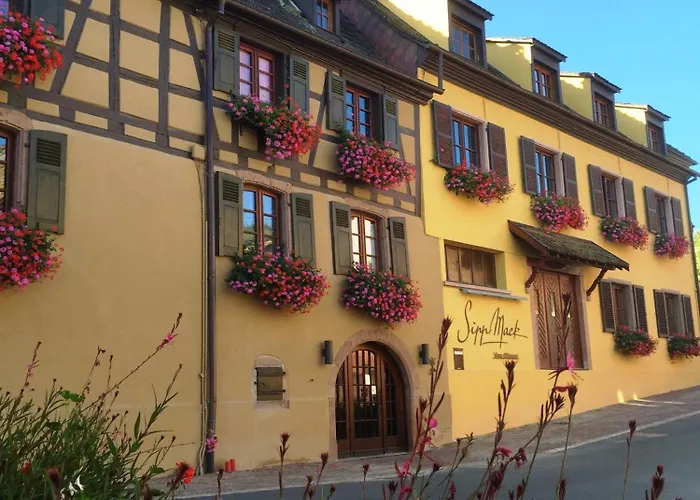 Sipp Mack Vins D'alsace